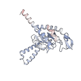 6315_3j9z_SB_v1-3
Activation of GTP Hydrolysis in mRNA-tRNA Translocation by Elongation Factor G