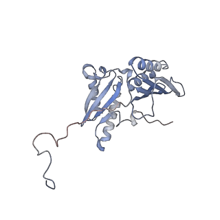 6315_3j9z_SC_v1-2
Activation of GTP Hydrolysis in mRNA-tRNA Translocation by Elongation Factor G