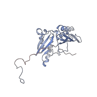 6315_3j9z_SC_v1-3
Activation of GTP Hydrolysis in mRNA-tRNA Translocation by Elongation Factor G