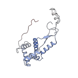 6315_3j9z_SG_v1-3
Activation of GTP Hydrolysis in mRNA-tRNA Translocation by Elongation Factor G