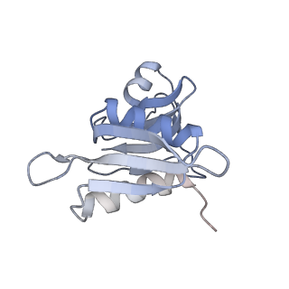 6315_3j9z_SH_v1-2
Activation of GTP Hydrolysis in mRNA-tRNA Translocation by Elongation Factor G