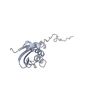 6315_3j9z_SI_v1-3
Activation of GTP Hydrolysis in mRNA-tRNA Translocation by Elongation Factor G