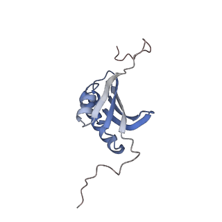 6315_3j9z_SK_v1-2
Activation of GTP Hydrolysis in mRNA-tRNA Translocation by Elongation Factor G