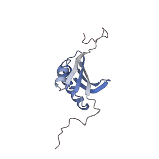 6315_3j9z_SK_v1-3
Activation of GTP Hydrolysis in mRNA-tRNA Translocation by Elongation Factor G