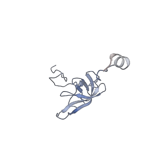 6315_3j9z_SL_v1-2
Activation of GTP Hydrolysis in mRNA-tRNA Translocation by Elongation Factor G