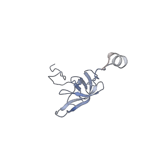 6315_3j9z_SL_v1-3
Activation of GTP Hydrolysis in mRNA-tRNA Translocation by Elongation Factor G