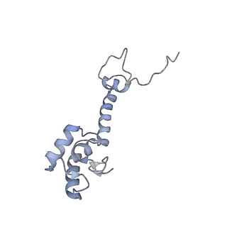 6315_3j9z_SM_v1-2
Activation of GTP Hydrolysis in mRNA-tRNA Translocation by Elongation Factor G
