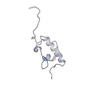 6315_3j9z_SR_v1-2
Activation of GTP Hydrolysis in mRNA-tRNA Translocation by Elongation Factor G