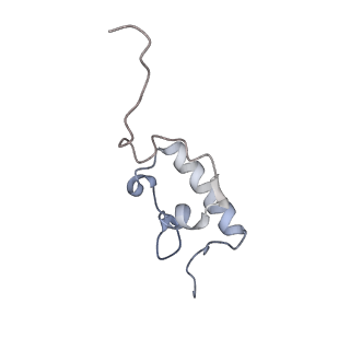 6315_3j9z_SR_v1-3
Activation of GTP Hydrolysis in mRNA-tRNA Translocation by Elongation Factor G