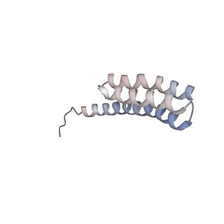 6315_3j9z_ST_v1-3
Activation of GTP Hydrolysis in mRNA-tRNA Translocation by Elongation Factor G