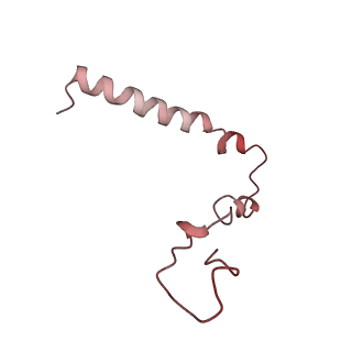 6315_3j9z_SU_v1-3
Activation of GTP Hydrolysis in mRNA-tRNA Translocation by Elongation Factor G