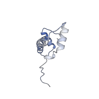 9783_6j99_B_v1-1
Cryo-EM structure of human DOT1L in complex with an H2B-monoubiquitinated nucleosome