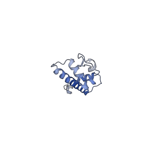 9783_6j99_C_v1-1
Cryo-EM structure of human DOT1L in complex with an H2B-monoubiquitinated nucleosome