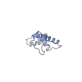 9783_6j99_G_v1-1
Cryo-EM structure of human DOT1L in complex with an H2B-monoubiquitinated nucleosome
