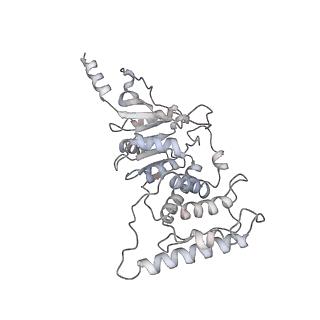 9783_6j99_K_v1-1
Cryo-EM structure of human DOT1L in complex with an H2B-monoubiquitinated nucleosome