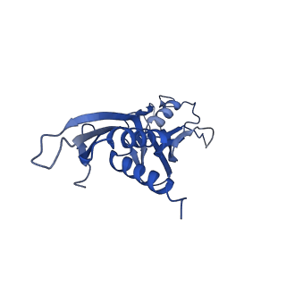 9785_6j9e_A_v1-3
Cryo-EM structure of Xanthomonos oryzae transcription elongation complex with NusA and the bacteriophage protein P7