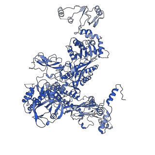 9785_6j9e_C_v1-3
Cryo-EM structure of Xanthomonos oryzae transcription elongation complex with NusA and the bacteriophage protein P7