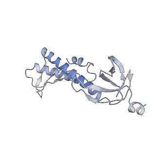 9785_6j9e_F_v1-3
Cryo-EM structure of Xanthomonos oryzae transcription elongation complex with NusA and the bacteriophage protein P7