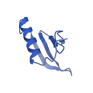 9785_6j9e_J_v1-3
Cryo-EM structure of Xanthomonos oryzae transcription elongation complex with NusA and the bacteriophage protein P7