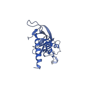 9786_6j9f_A_v1-2
Cryo-EM structure of Xanthomonos oryzae transcription elongation complex with the bacteriophage protein P7