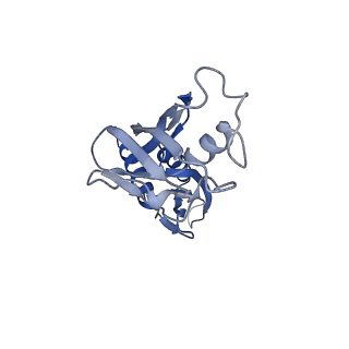 9786_6j9f_B_v1-2
Cryo-EM structure of Xanthomonos oryzae transcription elongation complex with the bacteriophage protein P7