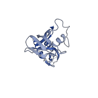 9786_6j9f_B_v1-3
Cryo-EM structure of Xanthomonos oryzae transcription elongation complex with the bacteriophage protein P7
