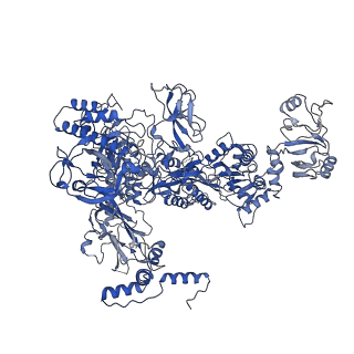 9786_6j9f_C_v1-2
Cryo-EM structure of Xanthomonos oryzae transcription elongation complex with the bacteriophage protein P7