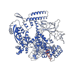 9786_6j9f_D_v1-2
Cryo-EM structure of Xanthomonos oryzae transcription elongation complex with the bacteriophage protein P7