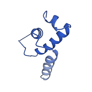 9786_6j9f_E_v1-3
Cryo-EM structure of Xanthomonos oryzae transcription elongation complex with the bacteriophage protein P7