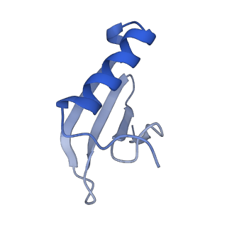 9786_6j9f_J_v1-2
Cryo-EM structure of Xanthomonos oryzae transcription elongation complex with the bacteriophage protein P7