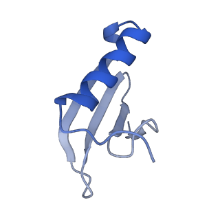 9786_6j9f_J_v1-3
Cryo-EM structure of Xanthomonos oryzae transcription elongation complex with the bacteriophage protein P7