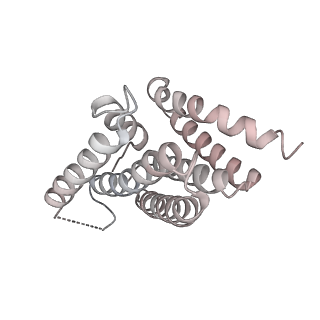 3037_3jaj_6_v1-3
Structure of the engaged state of the mammalian SRP-ribosome complex