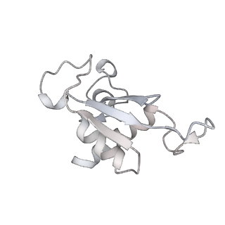 3037_3jaj_9_v1-3
Structure of the engaged state of the mammalian SRP-ribosome complex