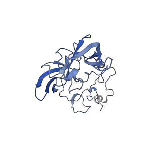 3037_3jaj_A_v1-3
Structure of the engaged state of the mammalian SRP-ribosome complex
