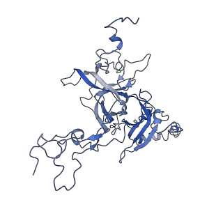 3037_3jaj_B_v1-3
Structure of the engaged state of the mammalian SRP-ribosome complex
