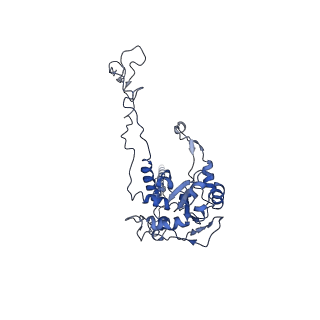 3037_3jaj_C_v1-3
Structure of the engaged state of the mammalian SRP-ribosome complex