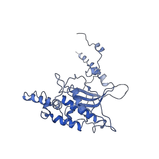 3037_3jaj_D_v1-3
Structure of the engaged state of the mammalian SRP-ribosome complex