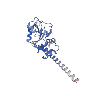 3037_3jaj_F_v1-3
Structure of the engaged state of the mammalian SRP-ribosome complex