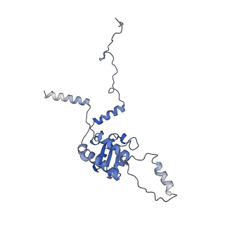 3037_3jaj_G_v1-3
Structure of the engaged state of the mammalian SRP-ribosome complex