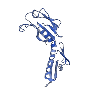 3037_3jaj_H_v1-3
Structure of the engaged state of the mammalian SRP-ribosome complex