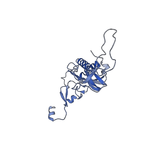 3037_3jaj_I_v1-3
Structure of the engaged state of the mammalian SRP-ribosome complex