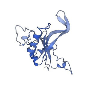 3037_3jaj_J_v1-3
Structure of the engaged state of the mammalian SRP-ribosome complex