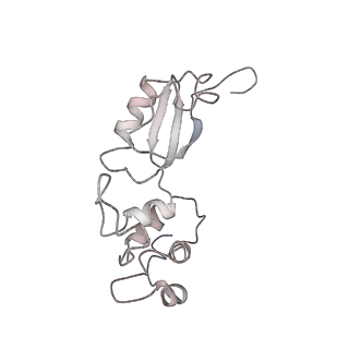 3037_3jaj_K_v1-3
Structure of the engaged state of the mammalian SRP-ribosome complex