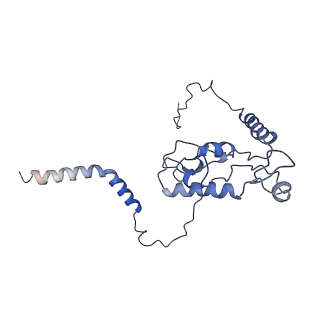 3037_3jaj_L_v1-3
Structure of the engaged state of the mammalian SRP-ribosome complex