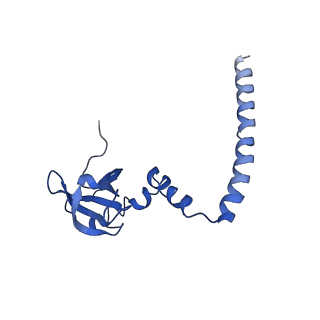 3037_3jaj_M_v1-3
Structure of the engaged state of the mammalian SRP-ribosome complex