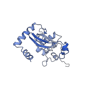 3037_3jaj_N_v1-3
Structure of the engaged state of the mammalian SRP-ribosome complex