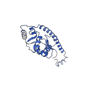 3037_3jaj_O_v1-3
Structure of the engaged state of the mammalian SRP-ribosome complex