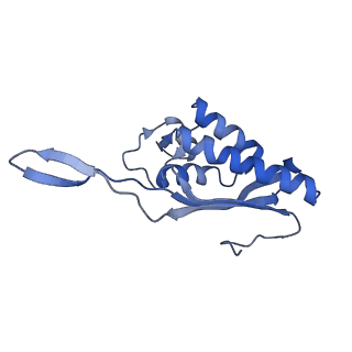3037_3jaj_P_v1-3
Structure of the engaged state of the mammalian SRP-ribosome complex