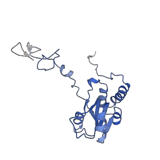 3037_3jaj_Q_v1-3
Structure of the engaged state of the mammalian SRP-ribosome complex