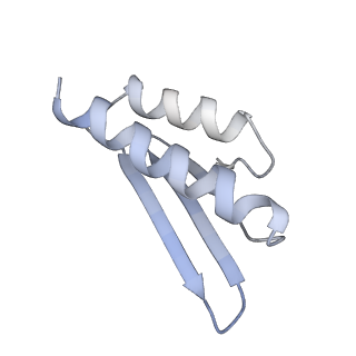 3037_3jaj_S1_v1-3
Structure of the engaged state of the mammalian SRP-ribosome complex